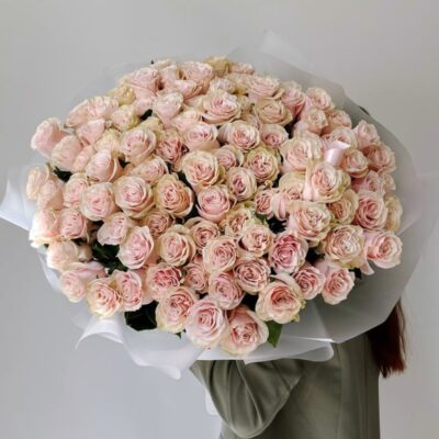 Pink Mondial Roses