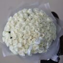 White roses