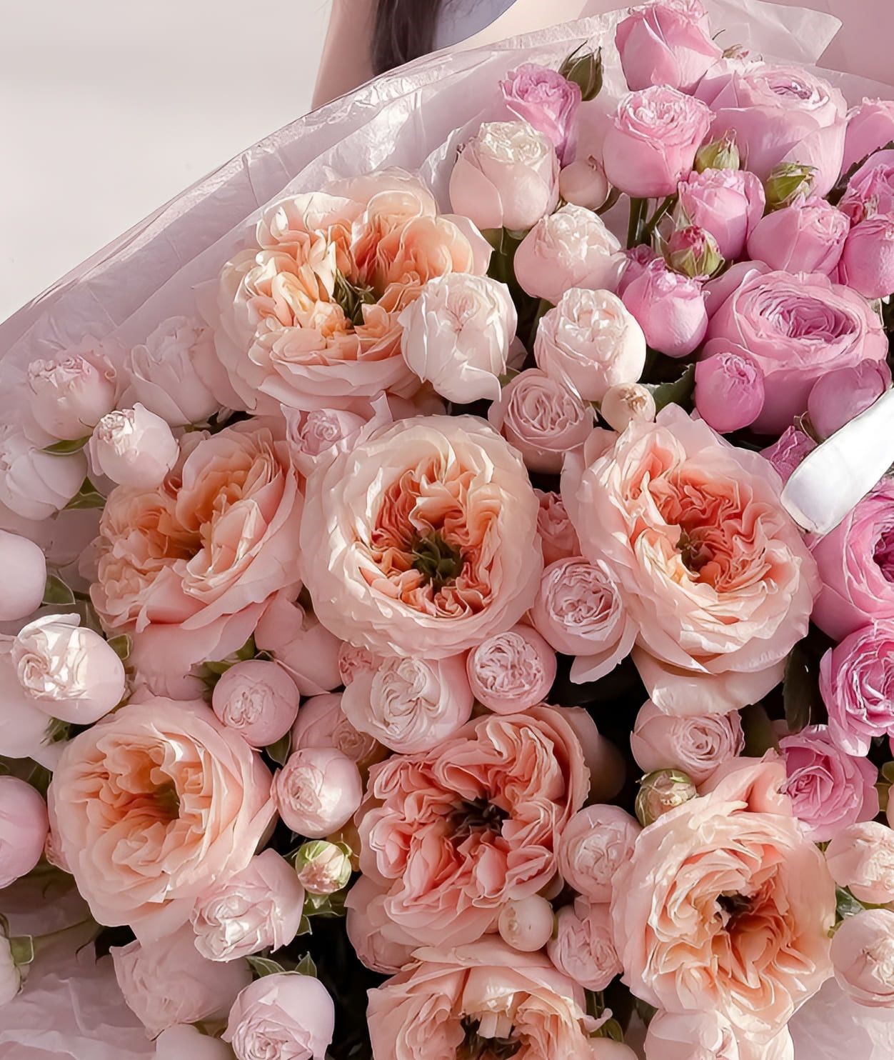Pink & Peach - Image 2
