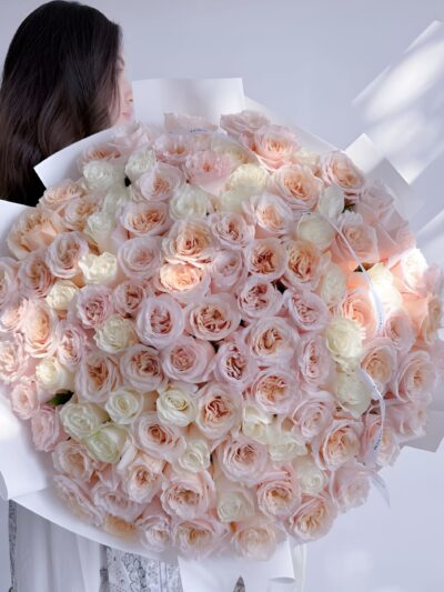 Ivory Dream