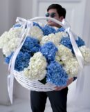 It’s a Boy!