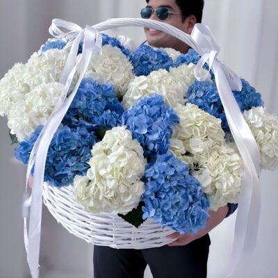 It’s a Boy!