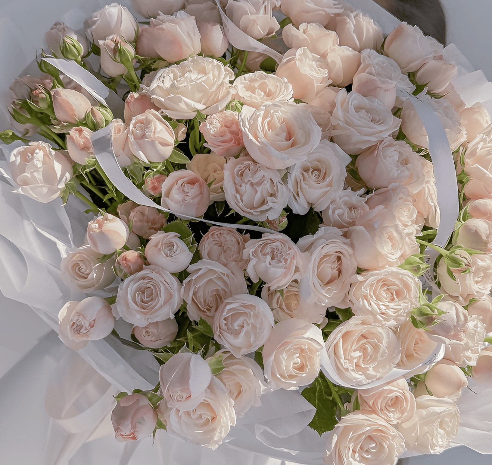 Milky Rose - Image 2
