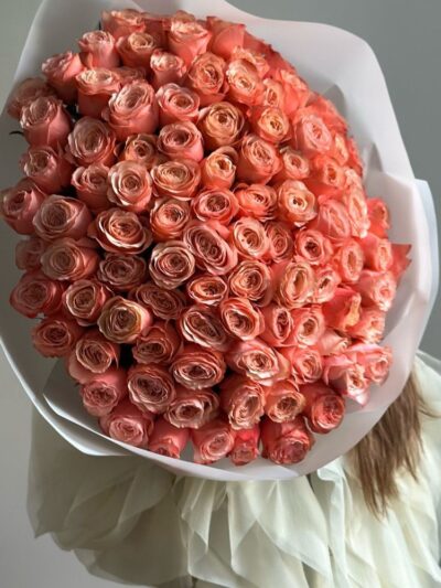 Kahala Roses
