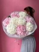 Hydrangea Harmony