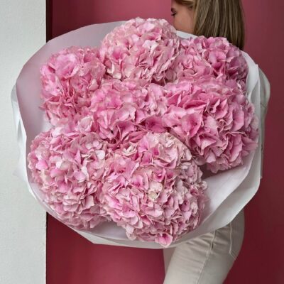 Pink Hydrangea