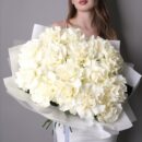 White French roses