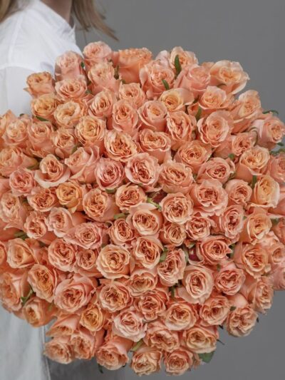 Shimmer roses