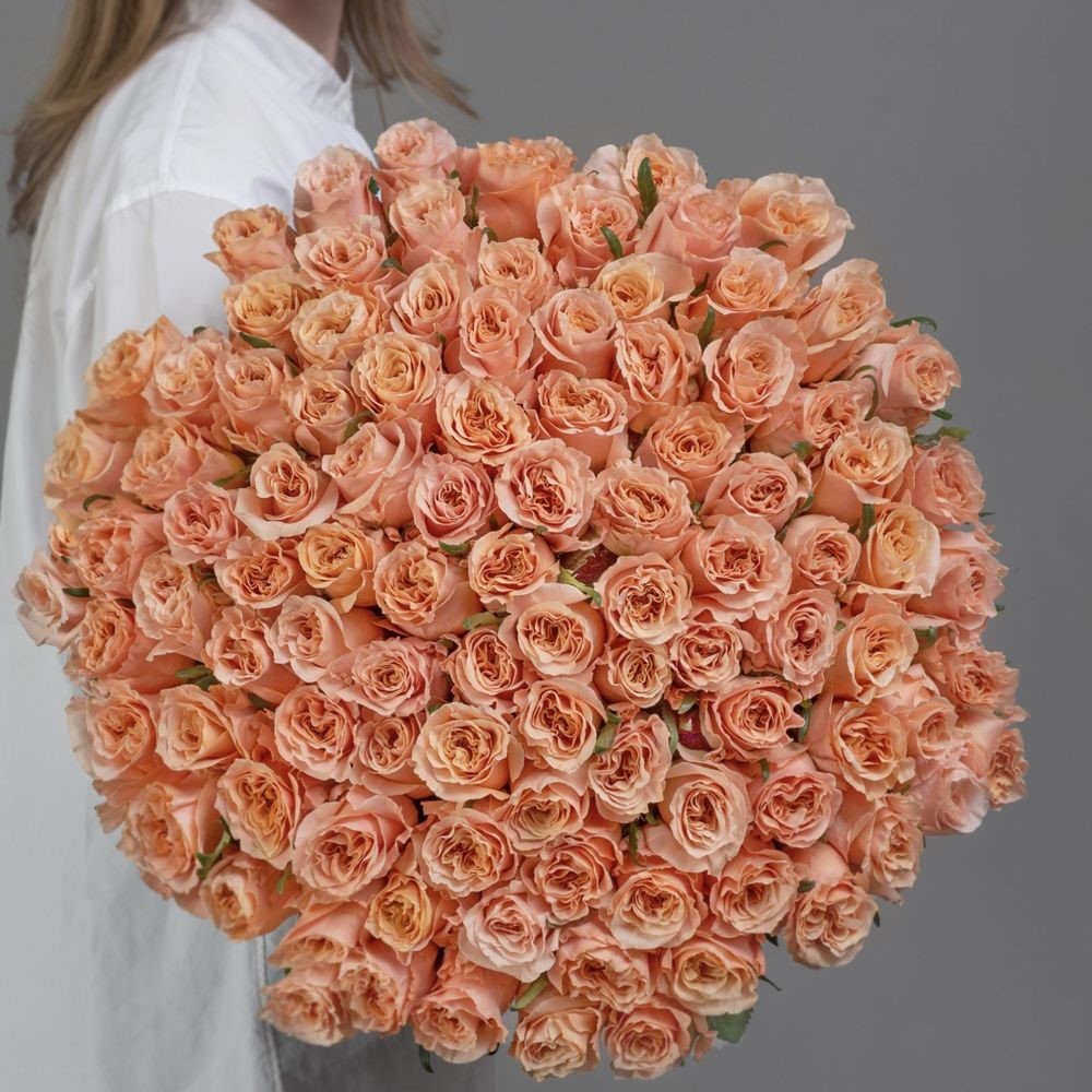 Shimmer roses