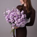 Lavender stock flower