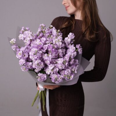 Lavender stock flower