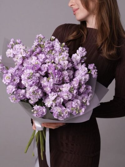 Lavender stock flower